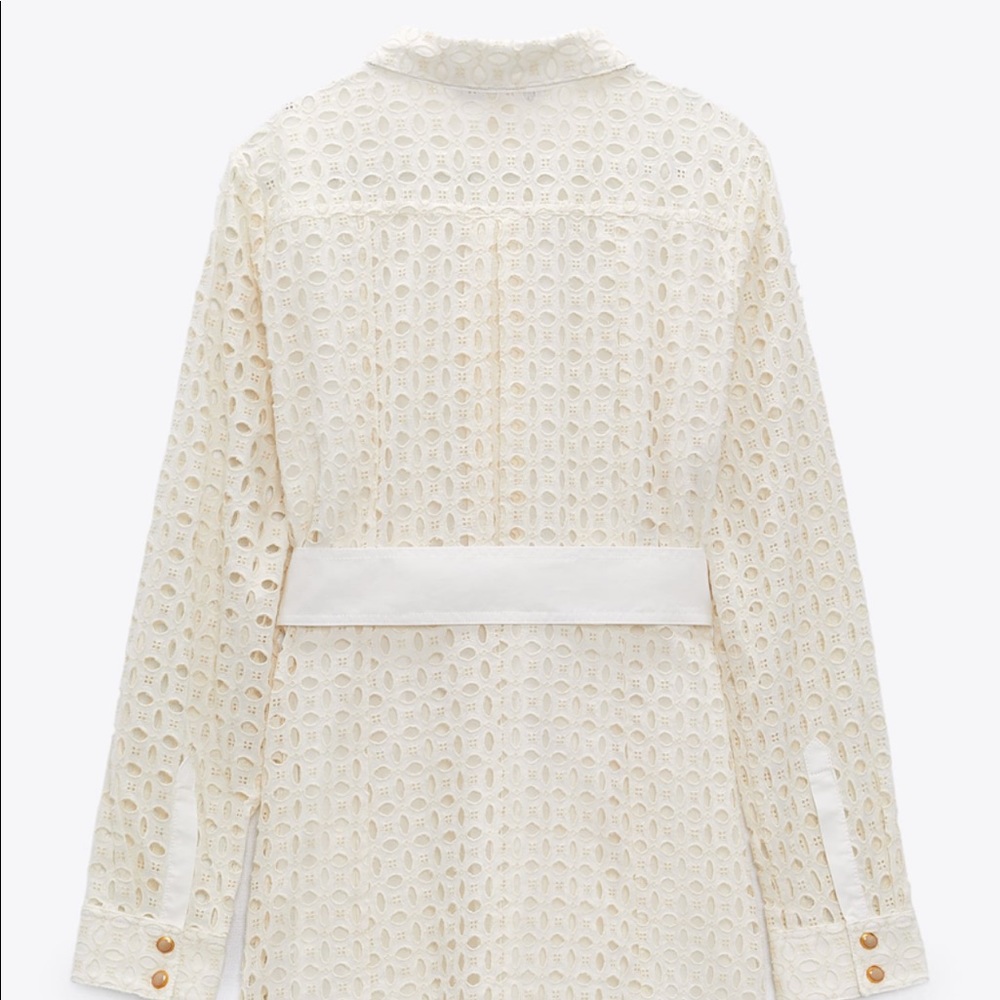 Zara Dress - Picture 4 of 4